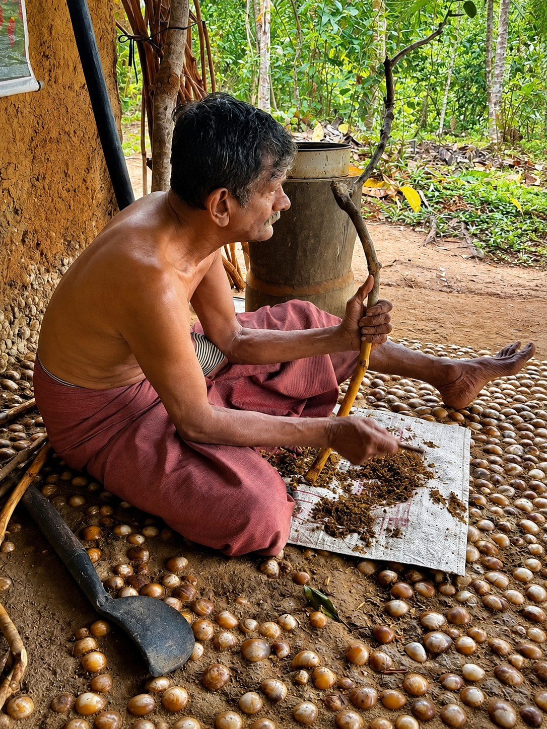 Cinnamon Plantation Tour
