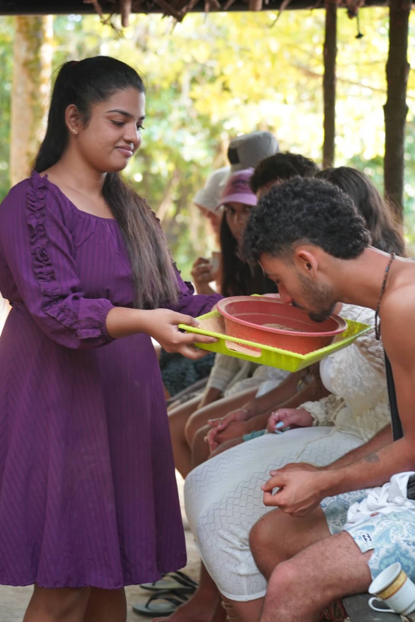 Cinnamon Bark Harvesting