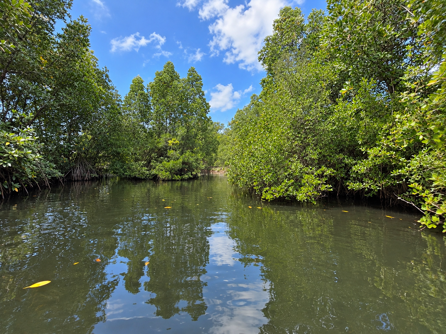 Lagoon Canal Exploration