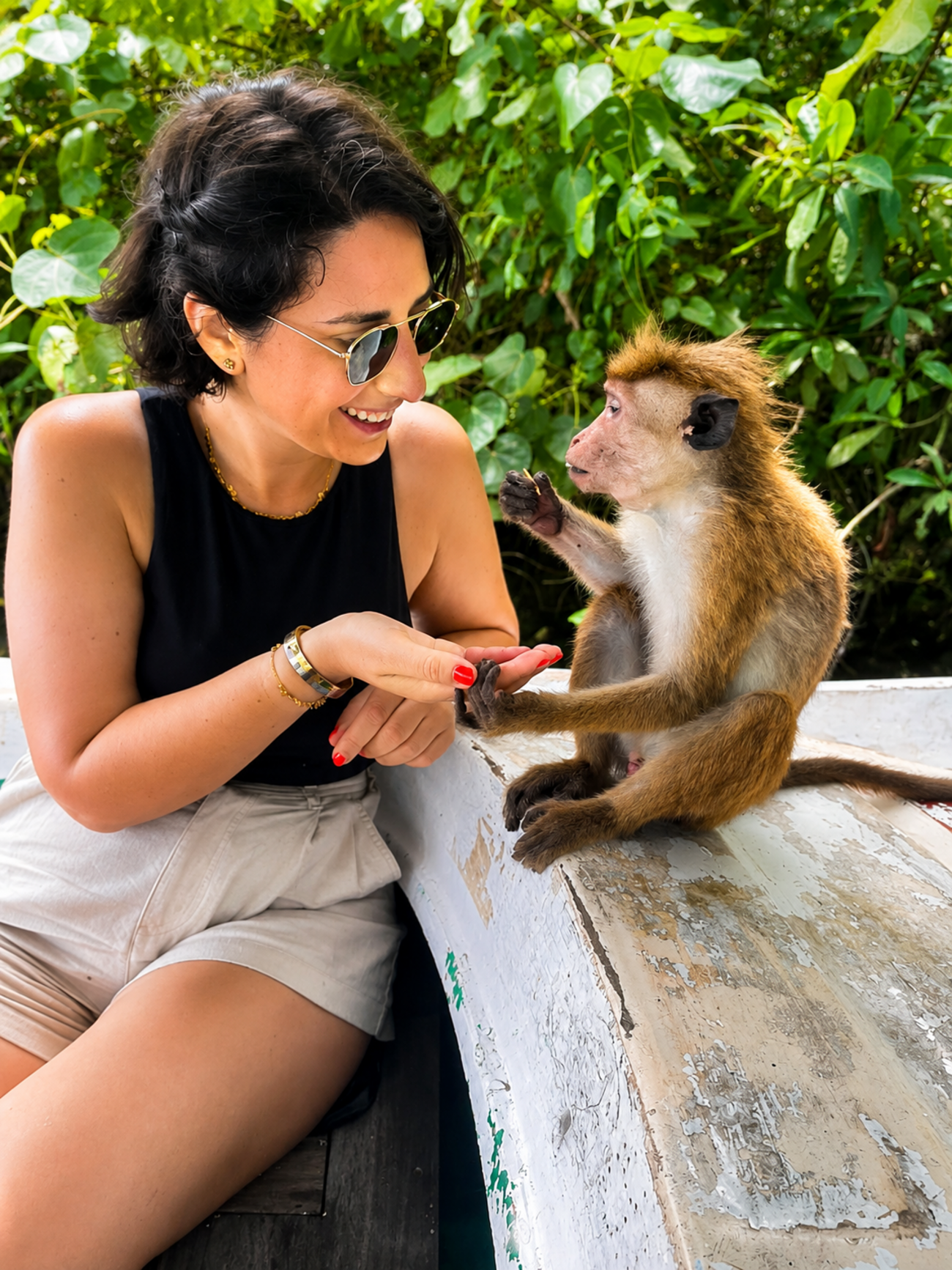 Friendly Island Monkeys