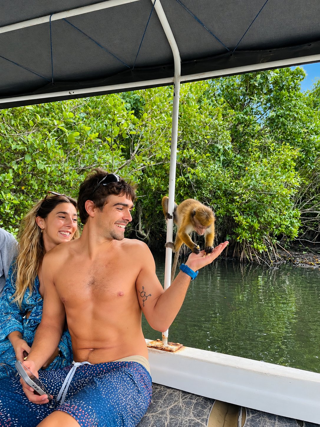 Playful Island Monkeys