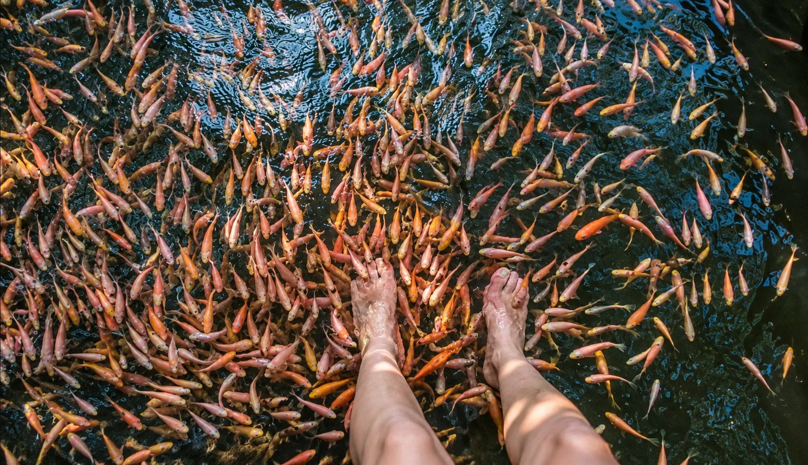 Natural Fish Spa Deck